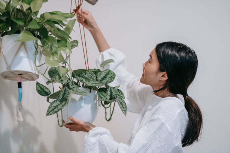 Plant-Days-Hong-Kong