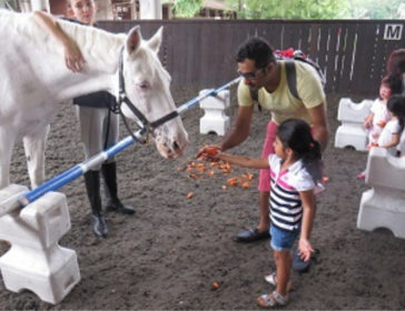 Singapore Polo Club For Horse Riding Lessons In Singapore