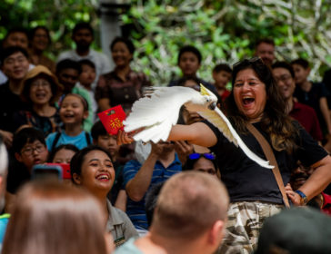 Jungle Breakfast With Animals At Singapore Zoo