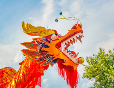 Dragon Themed Goodies