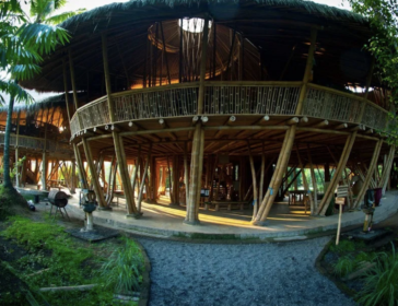 Guide To Green School Bali For Families Looking For An Outdoor Education