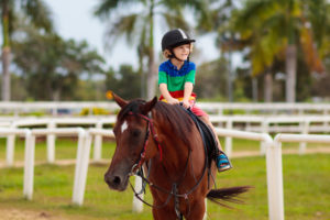 Horse And Pony Camps For Kids In Singapore