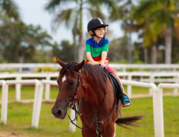 Horse And Pony Camps For Kids In Singapore