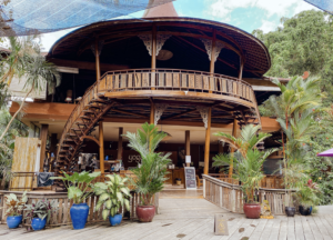 The Yoga Barn In Ubud For Amazing Yoga And Wellness Classes