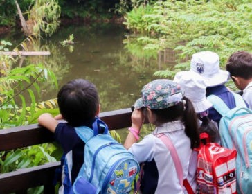 Young Naturalist Program Camp