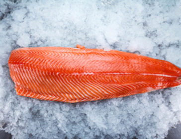 Shop For Scrumptious Salmon With Farmer’s Market