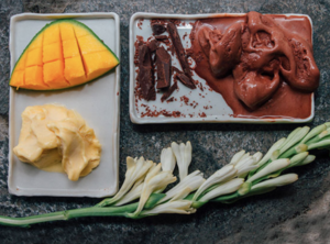 Gaya Gelato For Artisan Natural Gelato In Bali