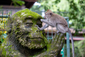 Guide To Visiting The Monkey Forest In Ubud, Bali