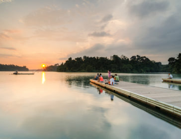 Visiting MacRitchie Reservoir Park With Kids