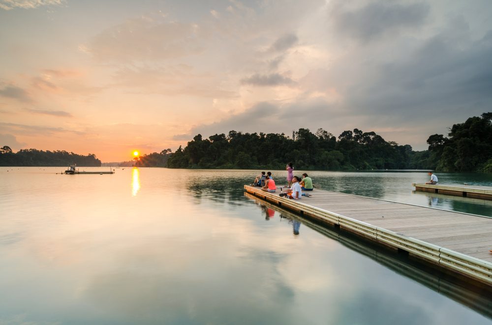 MacRitchie Reservoir Park