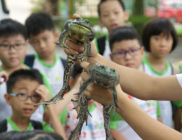 Jurong Frog Farm Outing