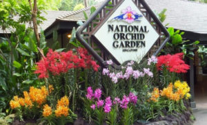 Orchid Garden With Kids
