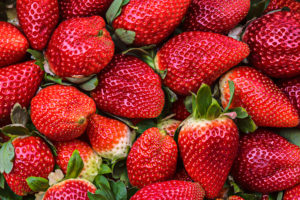 Outdoor Strawberry Picking With Kids In Bali Mountains