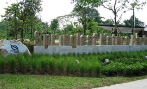 Springleaf Nature Park