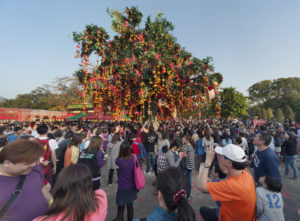 Visiting The Famous Lam Tseun Wishing Trees In Hong Kong