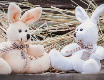 Make Your Own Craft Animal At Animaland in Jakarta