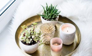 Tang Tang Tang Tang Home Decor *CLOSED