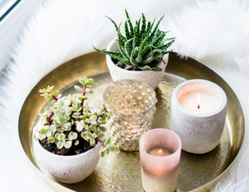 Tang Tang Tang Tang Home Decor *CLOSED