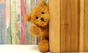 Teddy House