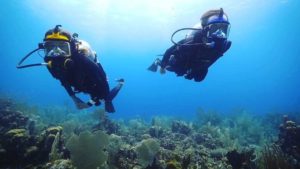Scuba Diving And Snorkeling Lessons For Kids In Hong Kong