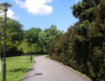 Family-Friendly Alexandra Canal Linear Park In Singapore