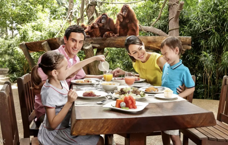 Brunching With Animals At Singapore Zoo