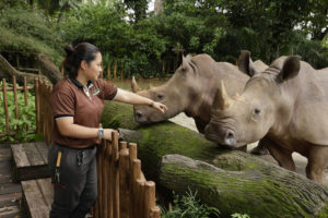 Events-At-Singapore-Zoo