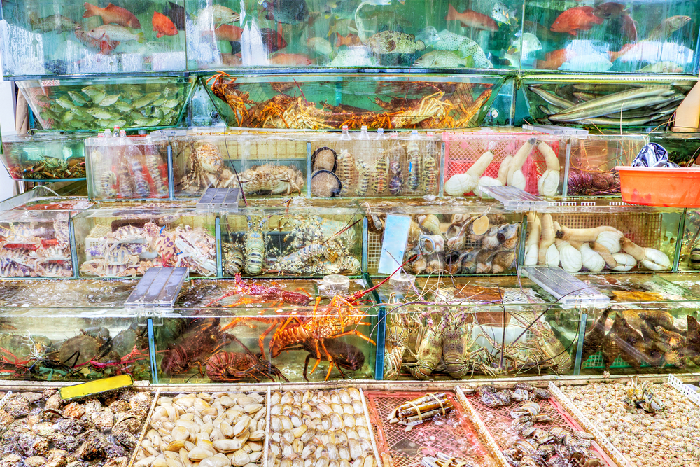Seafood restaurants Hong Kong