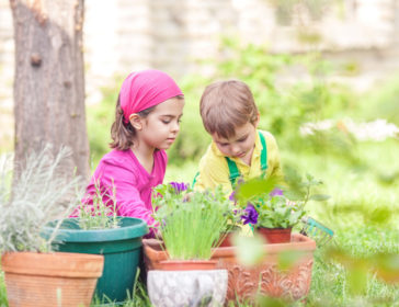 YWCA Gardening Classes