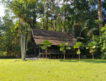 Visiting Forest Research Institute Malaysia (FRIM) With Kids