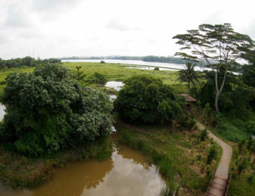 Exploring Kranji Marshes In Singapore With Kids For A Day!