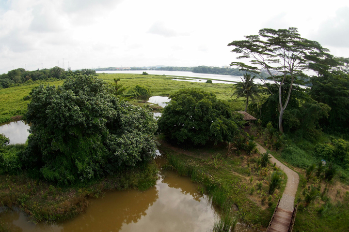 Kranji Marshes In Singapore