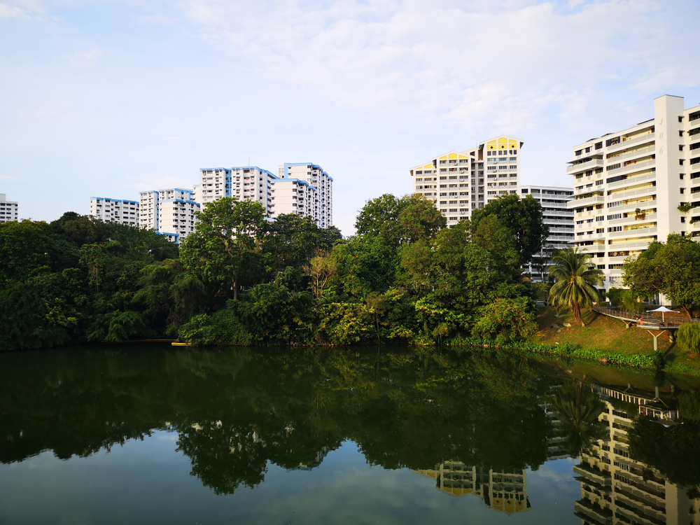 Pang Sua Pond In Singapore