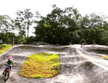Explore Chestnut Nature Park In Singapore