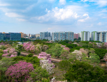 Visit 18 Heritage Sites On Tampines Heritage Trail Singapore