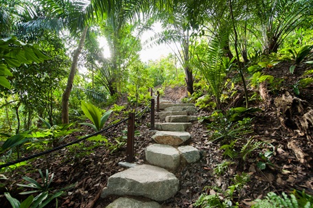Little-Arborist-For-The-Day-Gallop-Extension-Singapore