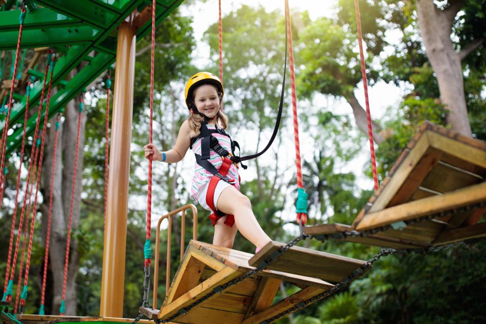 Forest Adventure In Singapoer