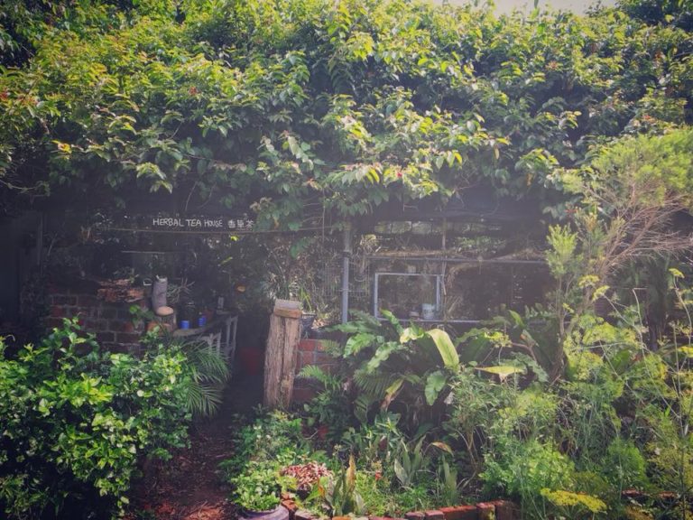 Herboland on Lamma Island