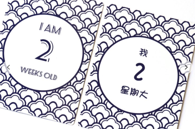 THE LION ROCK PRESS: Bilingual Baby Milestone Cards