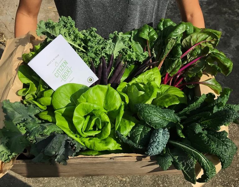 Citizen-Farm-Vegetables-Subscription-Singapore