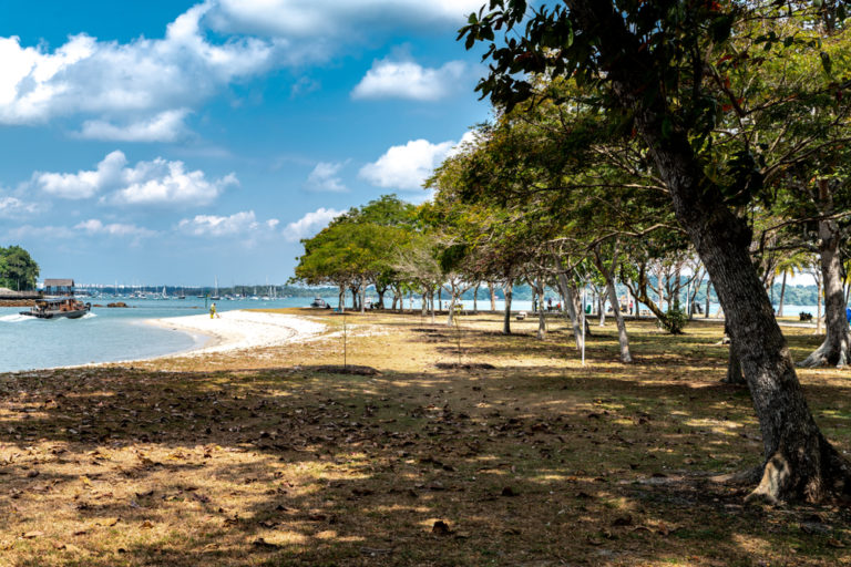 Changi-Beach-Park-Picnic-Singapore