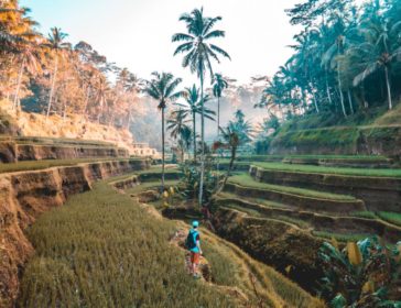 50 Things To Do With Kids In Bali - Little Steps Asia