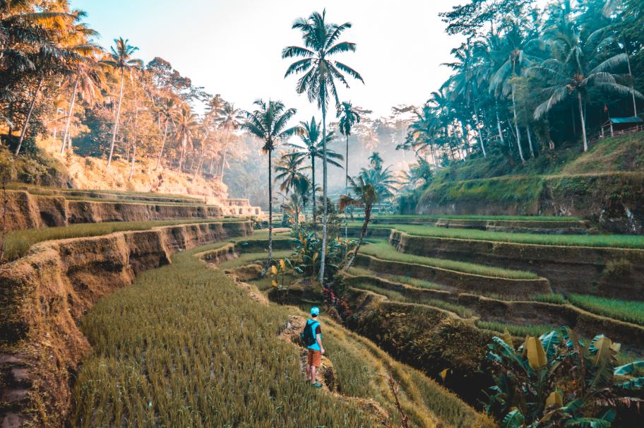 50 Things To Do In Bali With Kids, Babies, Toddlers, And Teens
