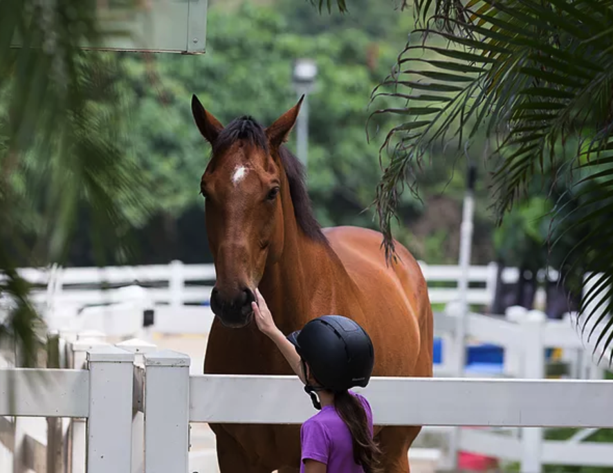 Clearwater Bay Equestrian Centre, Hong Kong