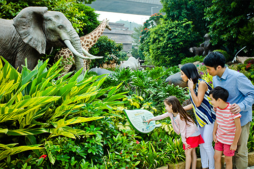 Noah's Ark, Hong Kong