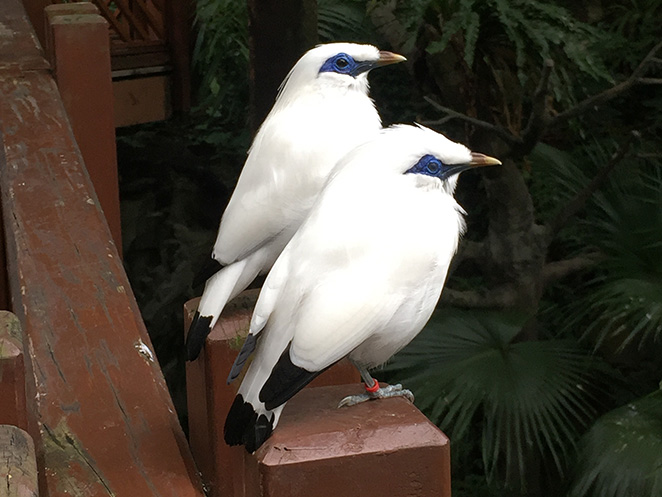 Hong Kong Park, Hong Kong