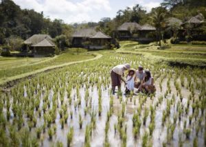 Bali's Best Holiday Camps - UBUD - Mandapa's Mini Explorer Packages