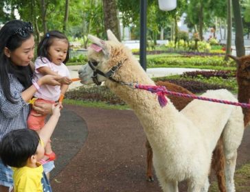 Best Farms For Kids In Jakarta - Scientia Square Park