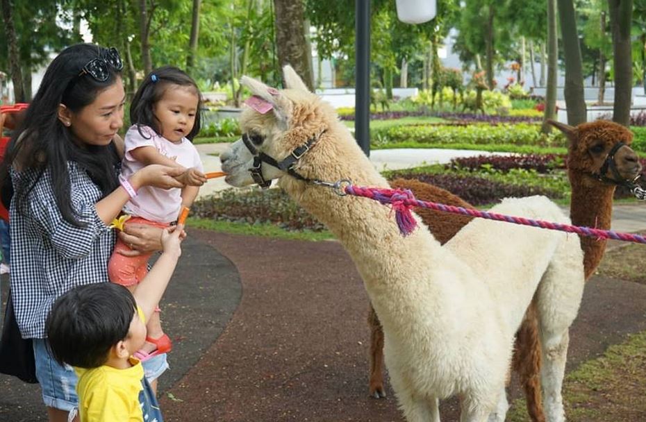 Best Farms For Kids In Jakarta - Scientia Square Park