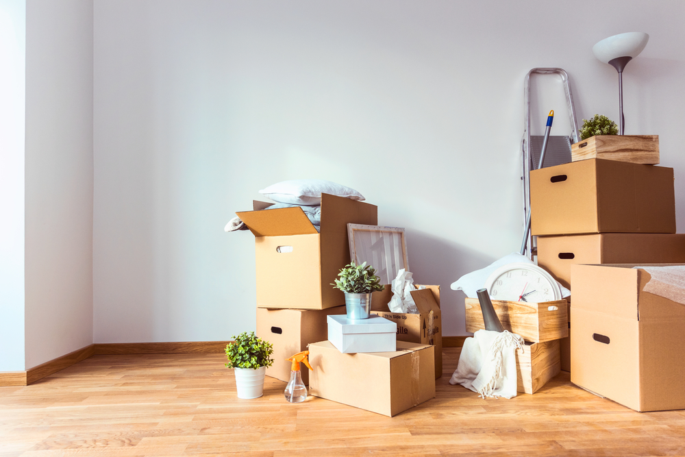 Best Moving Relocation Companies In Hong Kong